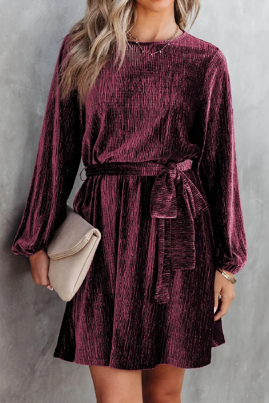 Price Drops You’ll Love!Crinkle Velvet Tie Belted Dress